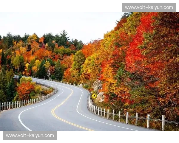 玫瑰与枫叶的巅峰博弈：女足VS加拿大，一场关于意志与艺术的绿茵盛宴